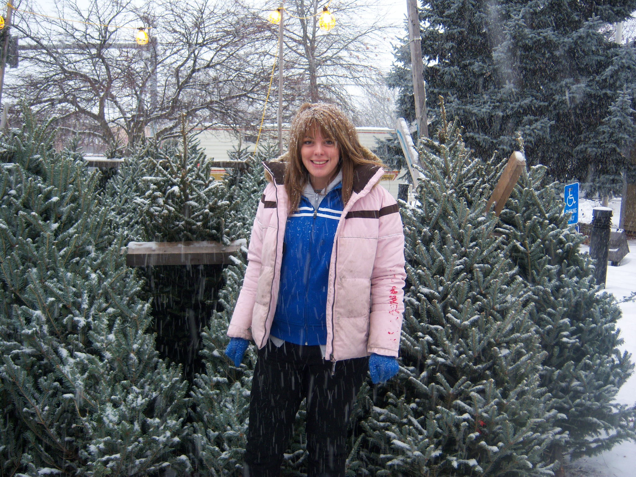 Christmas Tree Service with a Smile