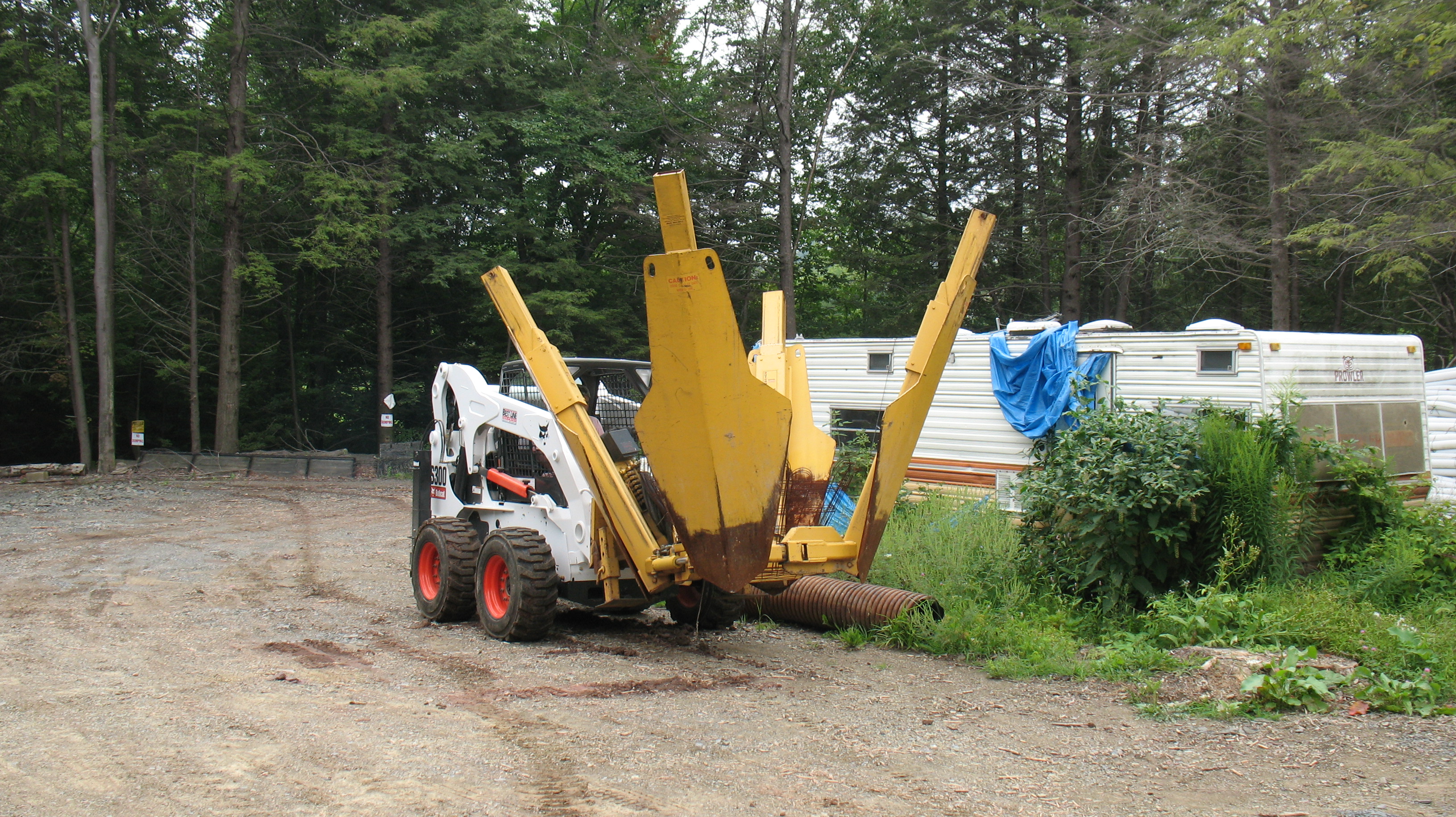 large tree spade