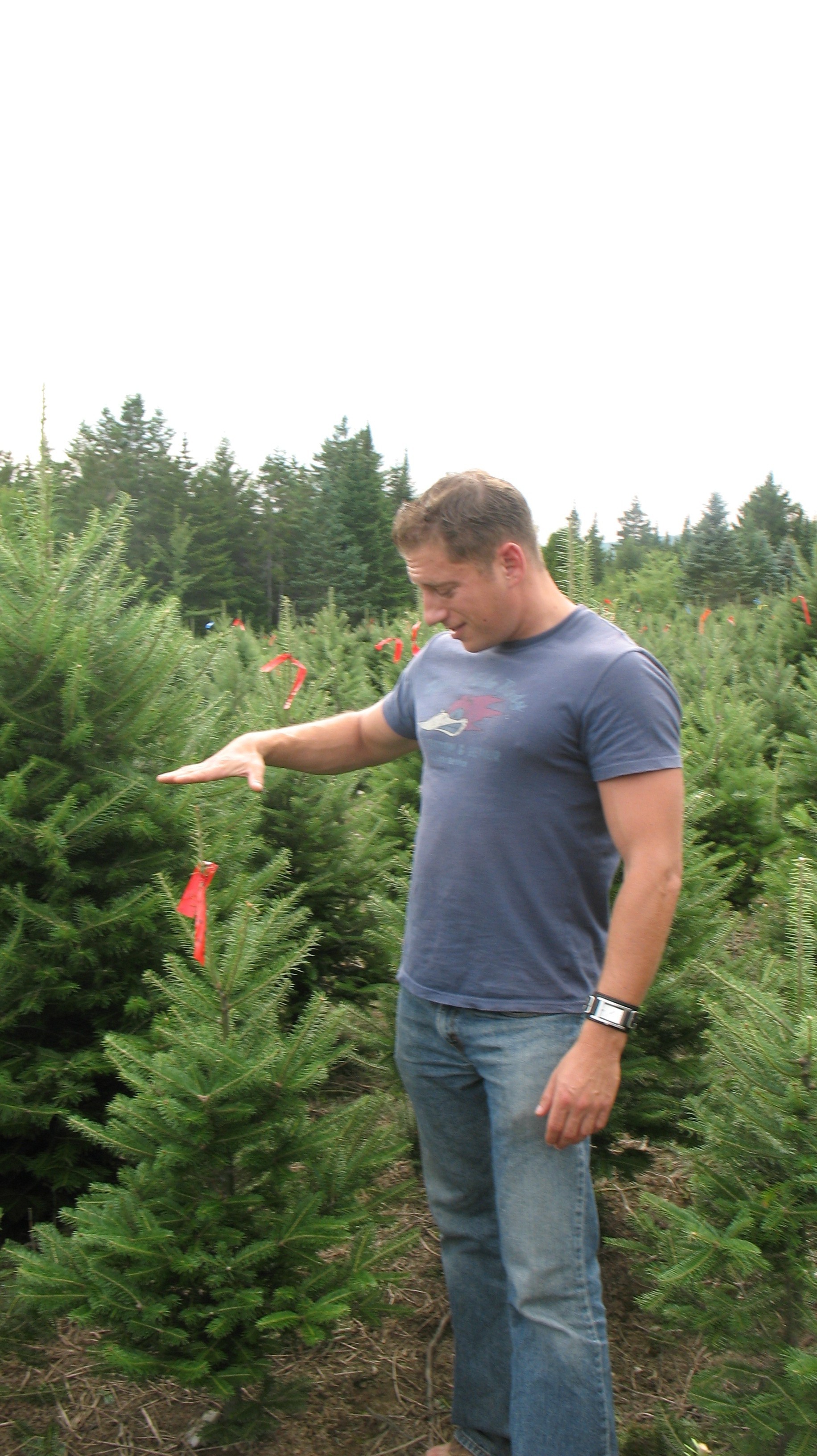 table top christmas tree